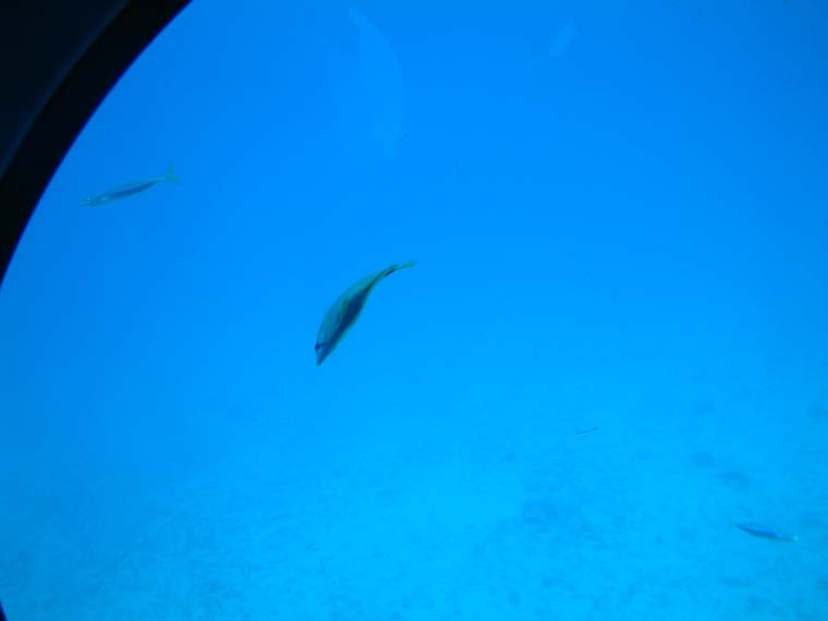 DSCF0066