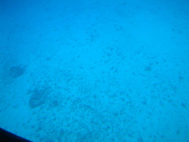 DSCF0067
