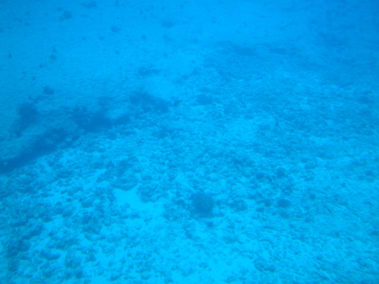 DSCF0070