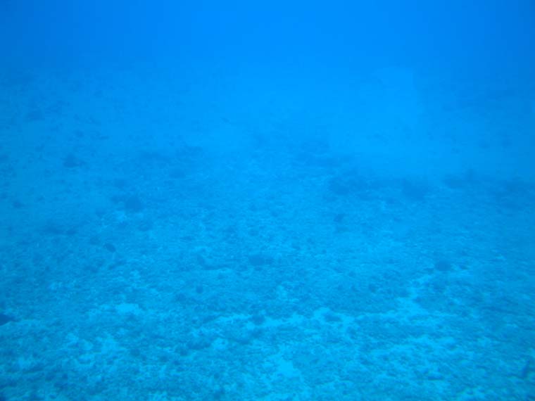 DSCF0071