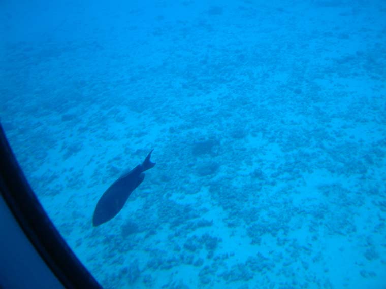 DSCF0073