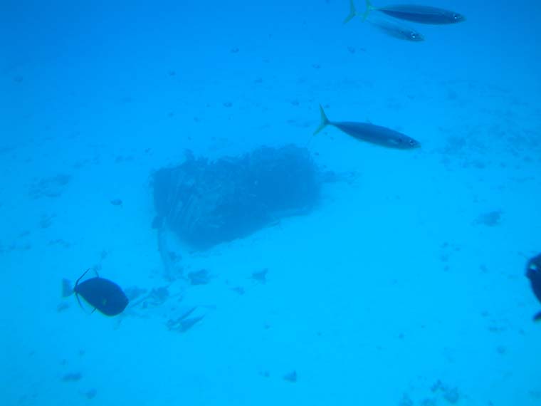 DSCF0075