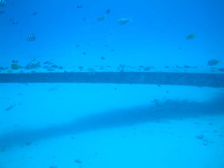 DSCF0077