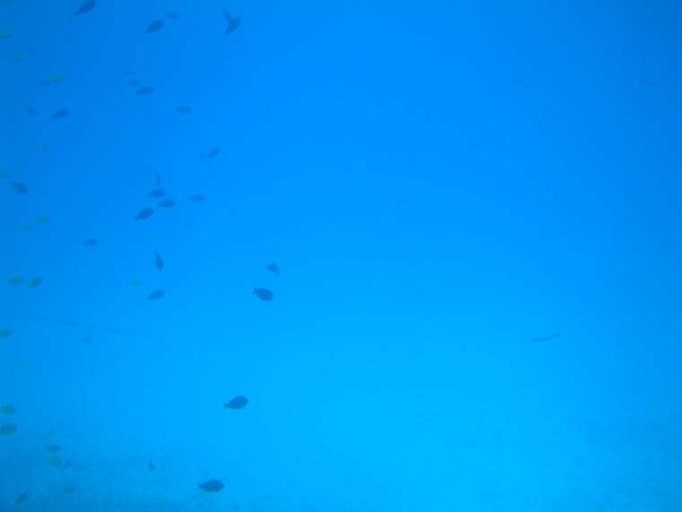 DSCF0095