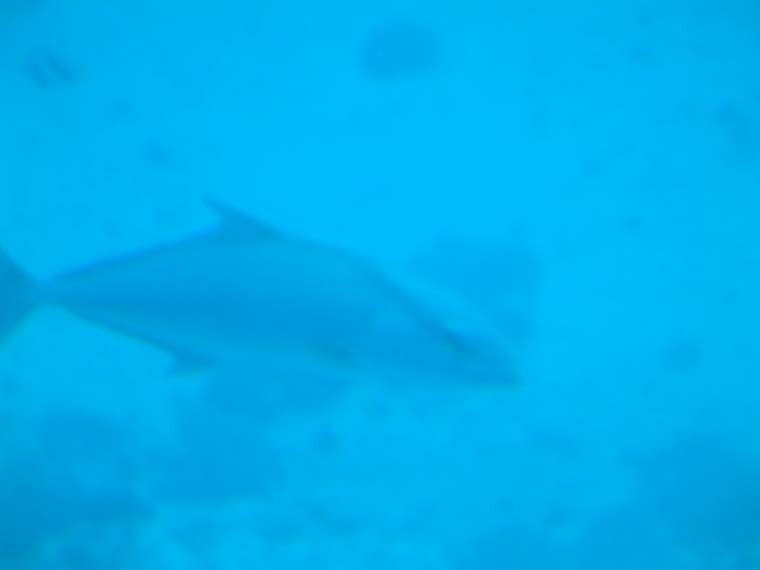 DSCF0097