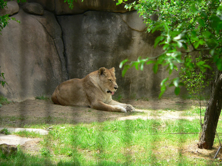P1000153
