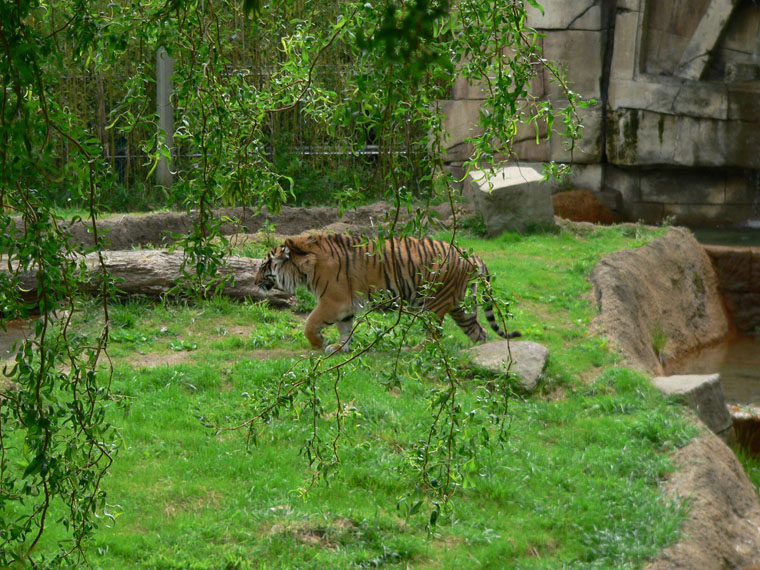 P1000155