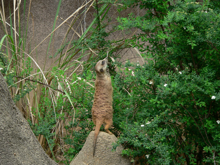 P1000167