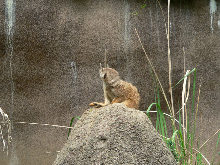 P1000168