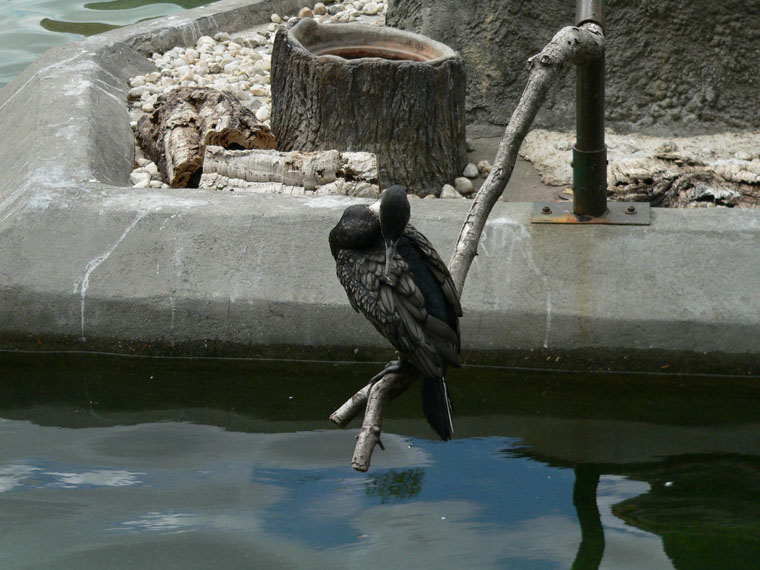 P1000173