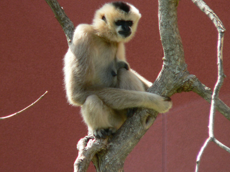 P1000232