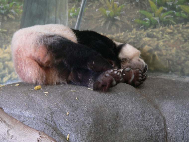 P1000234
